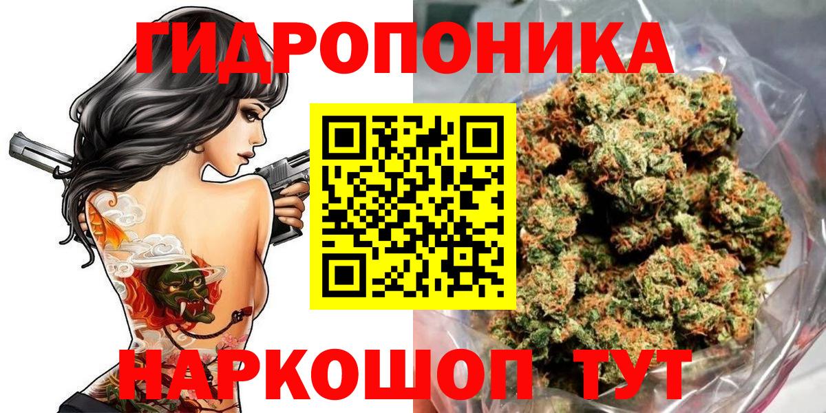 Бошки марихуана планчик Карачаевск